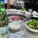 소리 내어 말하는 순간 가짜가 되어버리는 단어들