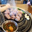 쫄면돼지 이미지
