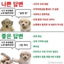 오묘 이미지