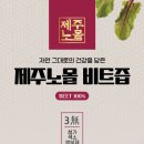 제주노몰