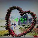 동해의원 이미지