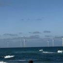 나라문구사 | 감성+힐링 다 챙긴 겨울제주 코스(식당,카페,놀거리,소품샵등) 왕간편 총정리 ! - 1편