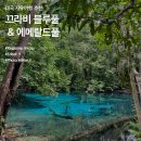 불루테크