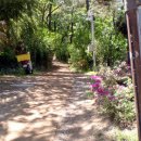 솔마루길 남산 이미지