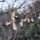 그대발길머무는곳에 | 그대 발길 머무는곳에