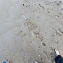 구월이십일 이미지