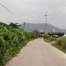 교동면 남산포 이미지