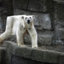 네모네모 이미지