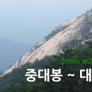931 Daum카페