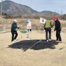 골프기초반 이미지