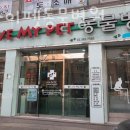 마이펫 동물병원 | 은평구 응암동 동물병원 러브마이펫동물병원 진료시간 접근성 이용후기