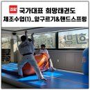 국가대표 마스터 태권도장 이미지
