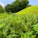 연두목장 이미지