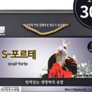 백제달팽이