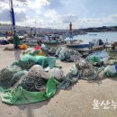 월내물양장 이미지