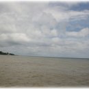 하서리8 이미지