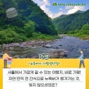 뉴욕버거 가평설악점 이미지