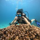 씨유인천덴탈 | 이 녀석…끝내주는 휴가를 다녀왔나본데?(보라카이편)