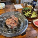 태중산아나고곰장어 이미지
