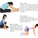 스트레칭 이미지