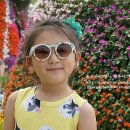 피치 앤 마리 이미지