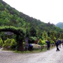 솔향수목원(암석원) 이미지