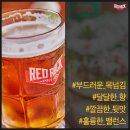 비어하우스 이미지