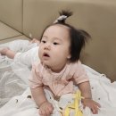 해나동물병원 | 아기 해나와 고양이 깍지의 6월 이야기 4