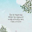 가나안사랑의공동체 이미지
