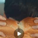 뜨레쥬르 이미지