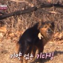 영하농장 이미지