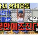 삐약스핏 이미지