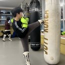 민족사관태권도 이미지