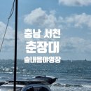 솔내음야영장 | 충남 서천 춘장대 솔내음 야영장은 숲도 있고 바다도 있어서 두 가지 다 즐길 수 있는 게 완전 신의 한...