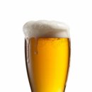 비어비바 이미지