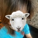 은서한의원 이미지