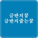 금반지꿈 해몽 금반지 줍는 꿈 분류별 풀이 이미지