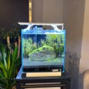 아쿠아 커피연구소 이미지