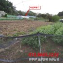 용유로 네이버블로그