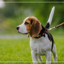 연세나루정신건강의학과의원 이미지