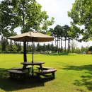 패밀리공원 이미지