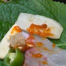스시회포차 | 경성대 횟집 맛집 미야미야 회포차에서 모둠회와 왕매운탕까지 푸짐하게 즐긴 후기