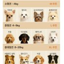 미통세탁 이미지