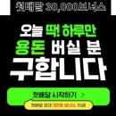 버블가이 이미지