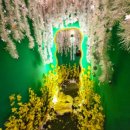 태양방앗간 이미지