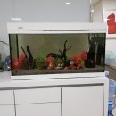 피쉬마트수족관 이미지