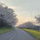 토산농장 이미지