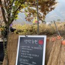 두식농원 | 아이들과 함께하기 좋은 가평 가을 사과따기 체험(당일치기)애견동반