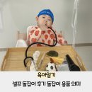 돌잡이 | 집에서 하는 셀프 돌잡이 후기 돌잡이 용품 의미