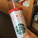 스타벅스성산일출봉점
